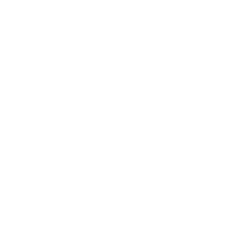 Icon dental implant