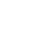 Porcelain Veneers icon